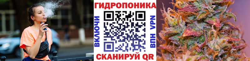 OMG tor  Верхотурье  Канабис THC 21% 